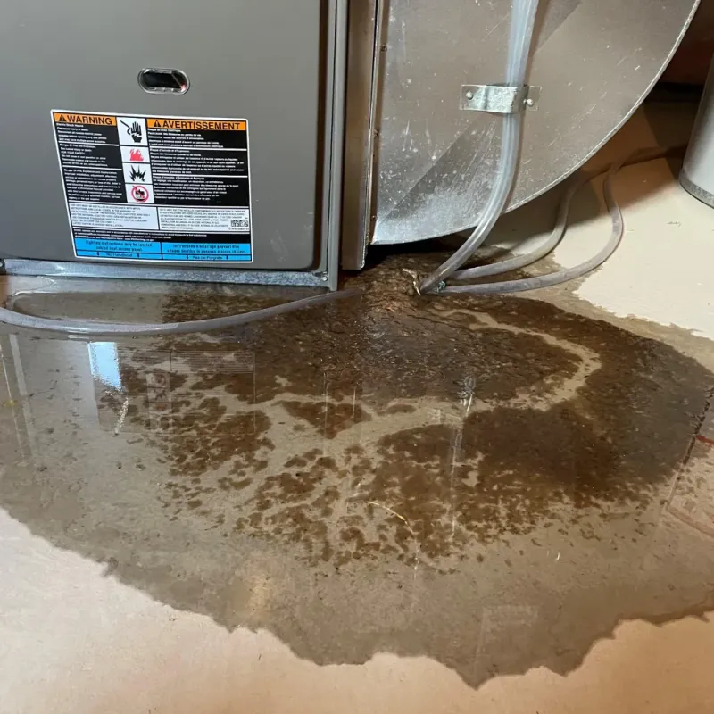 Appliance Leak Cleanup in Hot Springs, AR